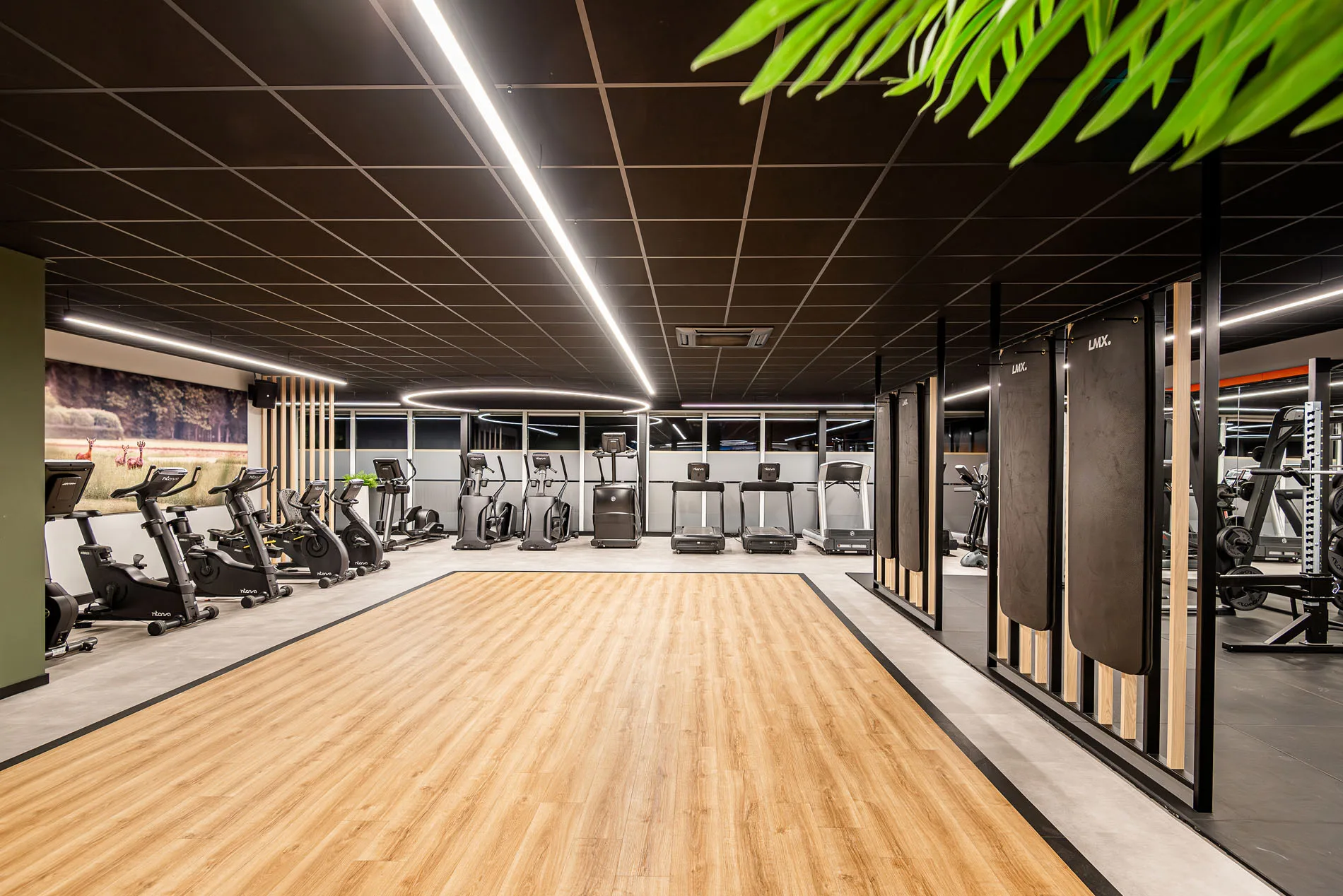 MediFit Doetinchem MediFit Doetinchem